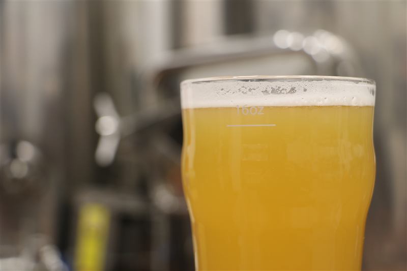 A fresh pint in front of the brewing tanks