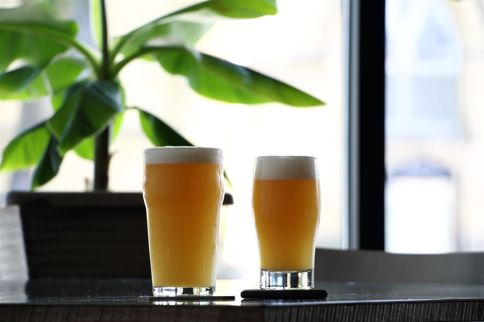 Two pints in the sunny front window of the taproom